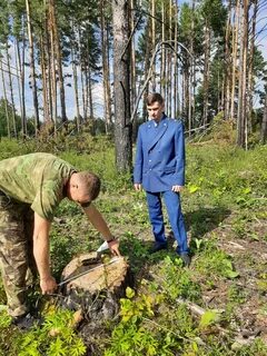 Проверка лесничества