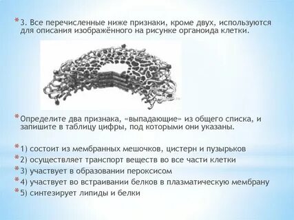 Перечисленные ниже термины кроме трех используются