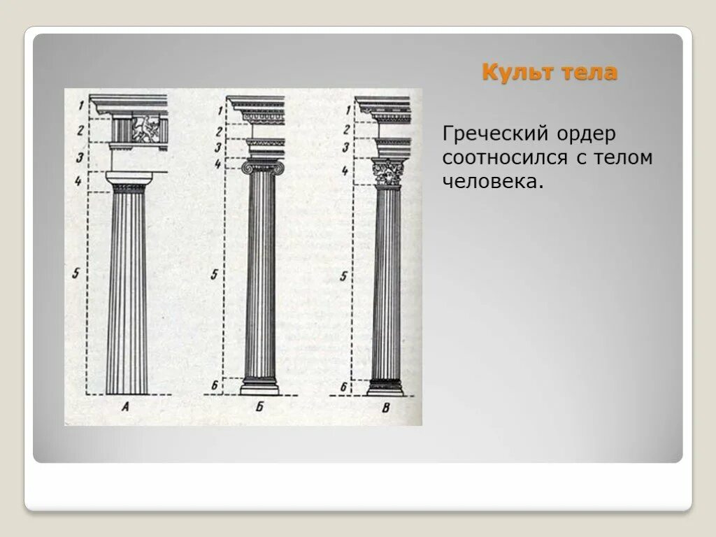Теле греч. Ордер древнегреческая культура. отличительные черты древнегреческих орденов. цоколь греческого ордера. греческие ордера как люди.