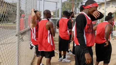 Russian bloods