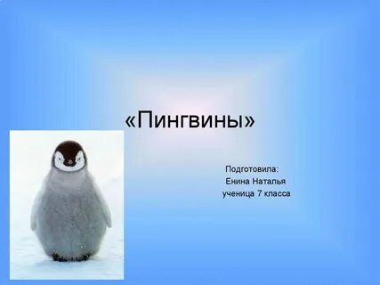 День пингвина презентация