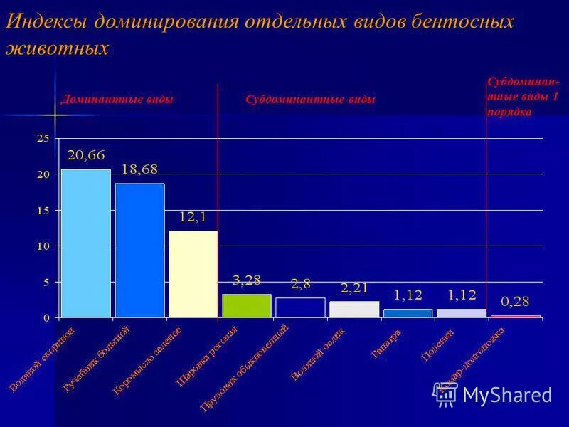 Индекс доминации