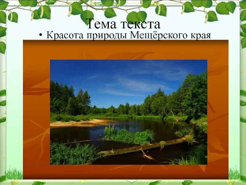 Мещерский край Паустовский. Паустовский 7 класс Мещерский край. Мещёра Паустовский. Паустовский Мещерская сторона. Паустовский родной край