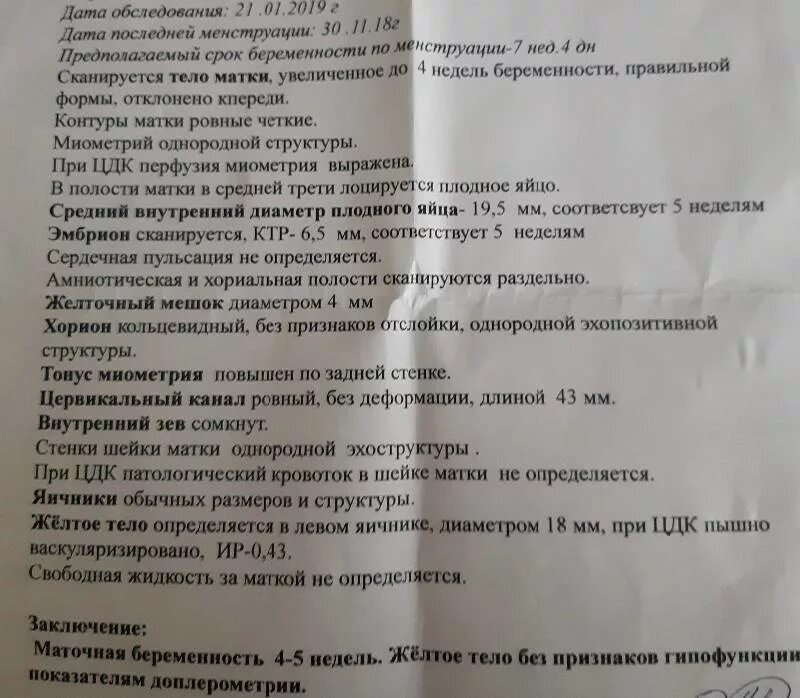 Миометрий при беременности. Повышение тонуса миометрия. Тонус матки в норме. Сокращение миометрия. Тонус на 38 неделе