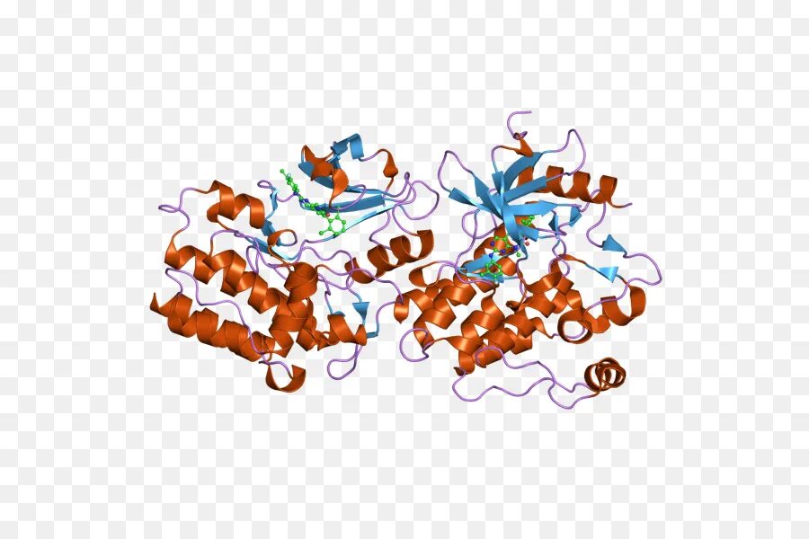 Белок s100 у ребенка. Онкогены картинки. Белок ABL. Киназа. Protein kinase a домены.