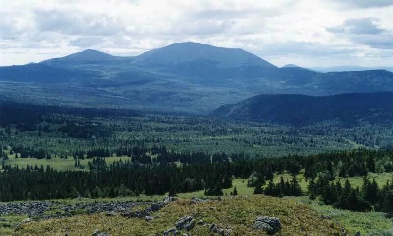 Приполярный урал гора народная. Гора народная республика коми. Южный урал обои. Уральские горы отделяют. Уральские горы отделяют.