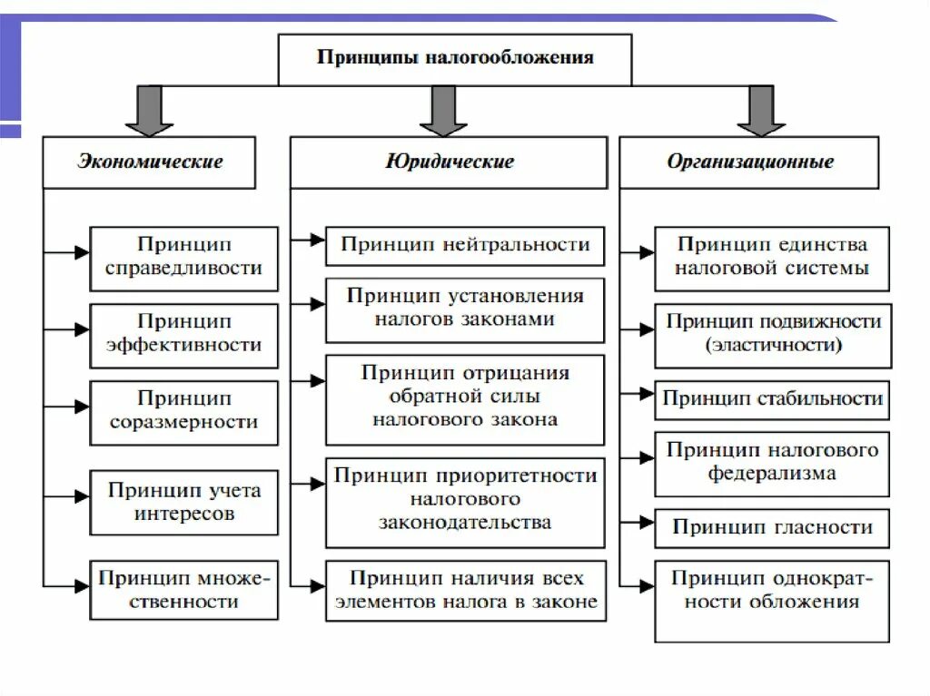 Принципы российской экономики. Основные принципы налогового законодательства РФ. Принципы построения налогов в РФ. Принципы построения налоговой системы РФ. Функции налогов. Принципы налогообложения фискальная политика.