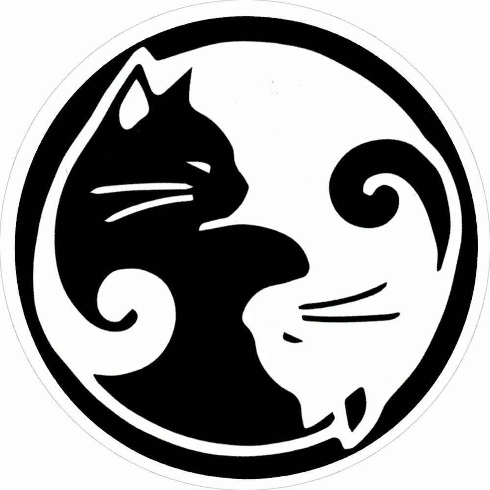 Котик инь. Коты воители инь янь. коты инь янь. тату инь янь кошки. инь янь в виде котов.