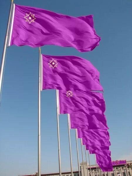 флаг евразийского союза. флаг с фиолетовым цветом. фиолетовый флаг. страна с фиолетовым флагом. флаг евразийского союза.