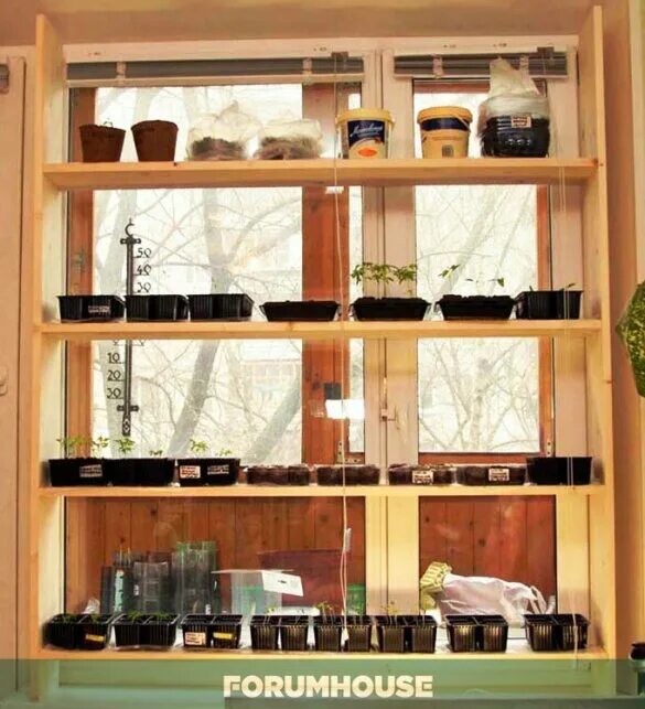 Стеллаж на подоконник для. Этажерка для рассады на подоконнике. Полку на подоконник для рассады своими руками. Полка для рассады. Стеллаж для рассады ст-2-l.