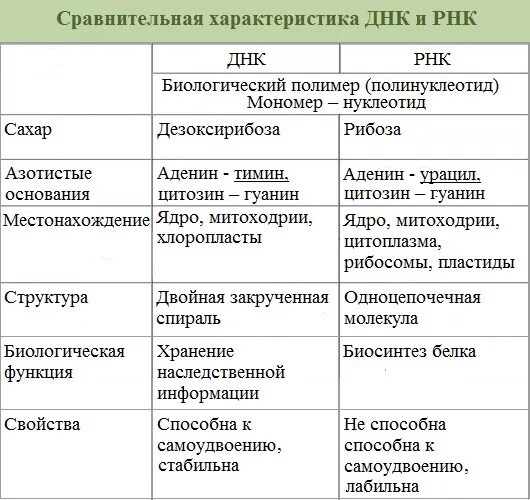 Днк и рнк общее. Структура ДНК И РНК таблица. Таблица ДНК И РНК по биологии 9 класс. Сравнительный анализ ДНК И РНК. Признаки сравнения ДНК И РНК таблица.