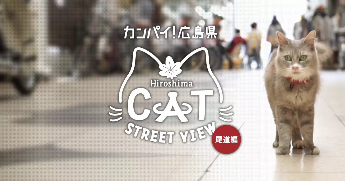 Hello Street Cat Мем. Cat Street view. A Street Cats story. Cat Street view all 95 Cats. Hello street cat издевательство