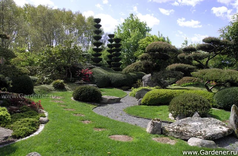 Сад юйюань в шанхае. Парк садов park der garten. Жак вирц ландшафтный архитектор. Гармоничный сад. Цветочный сад.