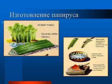 Изготовление папируса