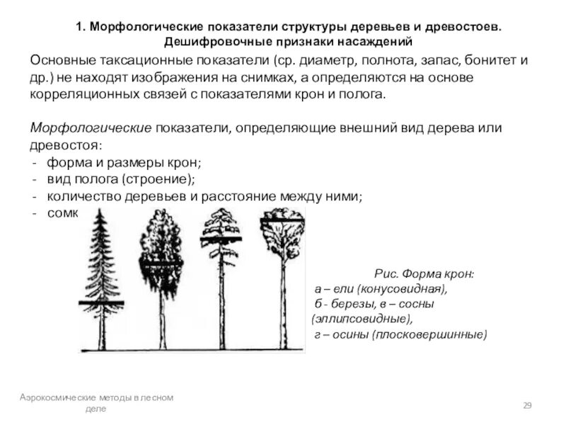 Коэффициент площади лесного участка