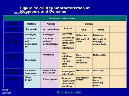 Classification examples