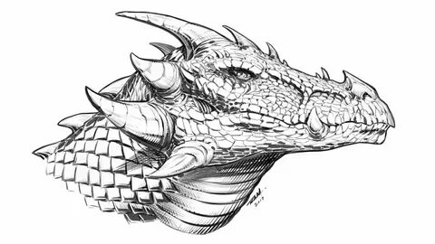 Dragon side