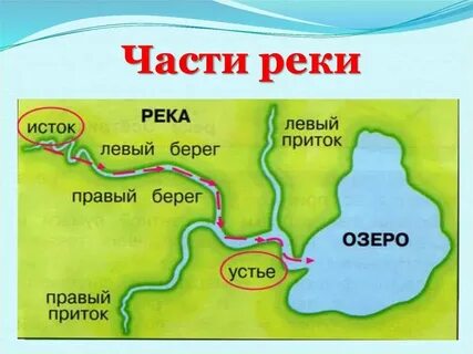 Страны в устьях рек