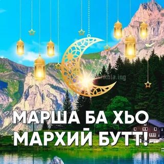 Мархнаш къобал дойла поздравления