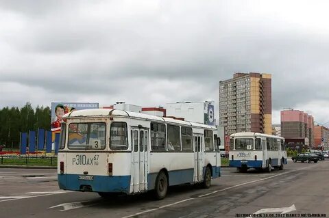 Автобус рославль десногорск