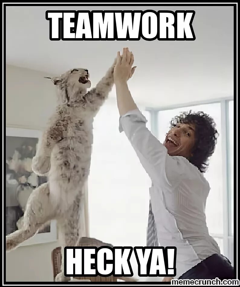 Тим ворк Мем. Teamwork meme. Teamwork humor. Teamwork картинки смешные. Work meme