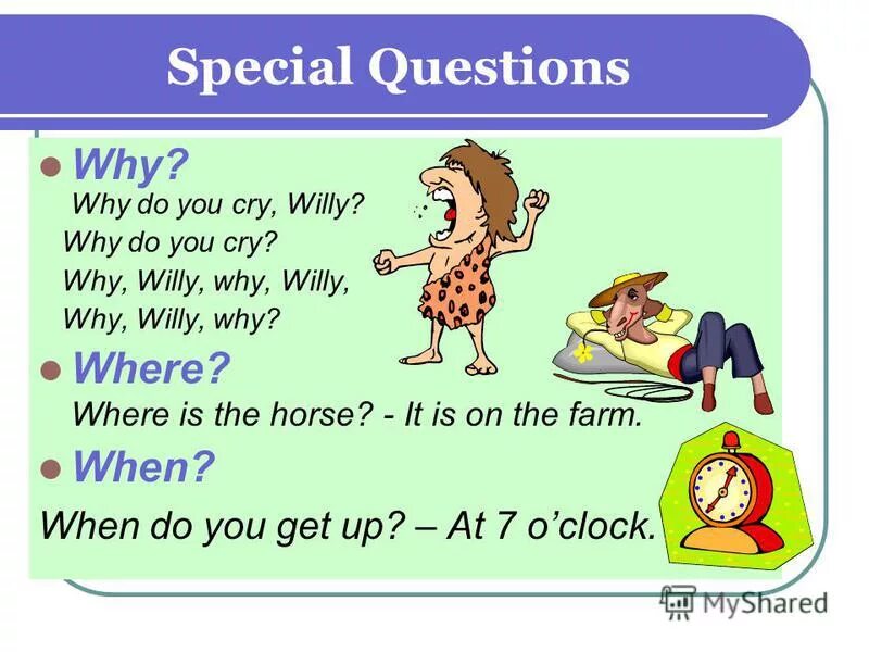 Ask the special questions