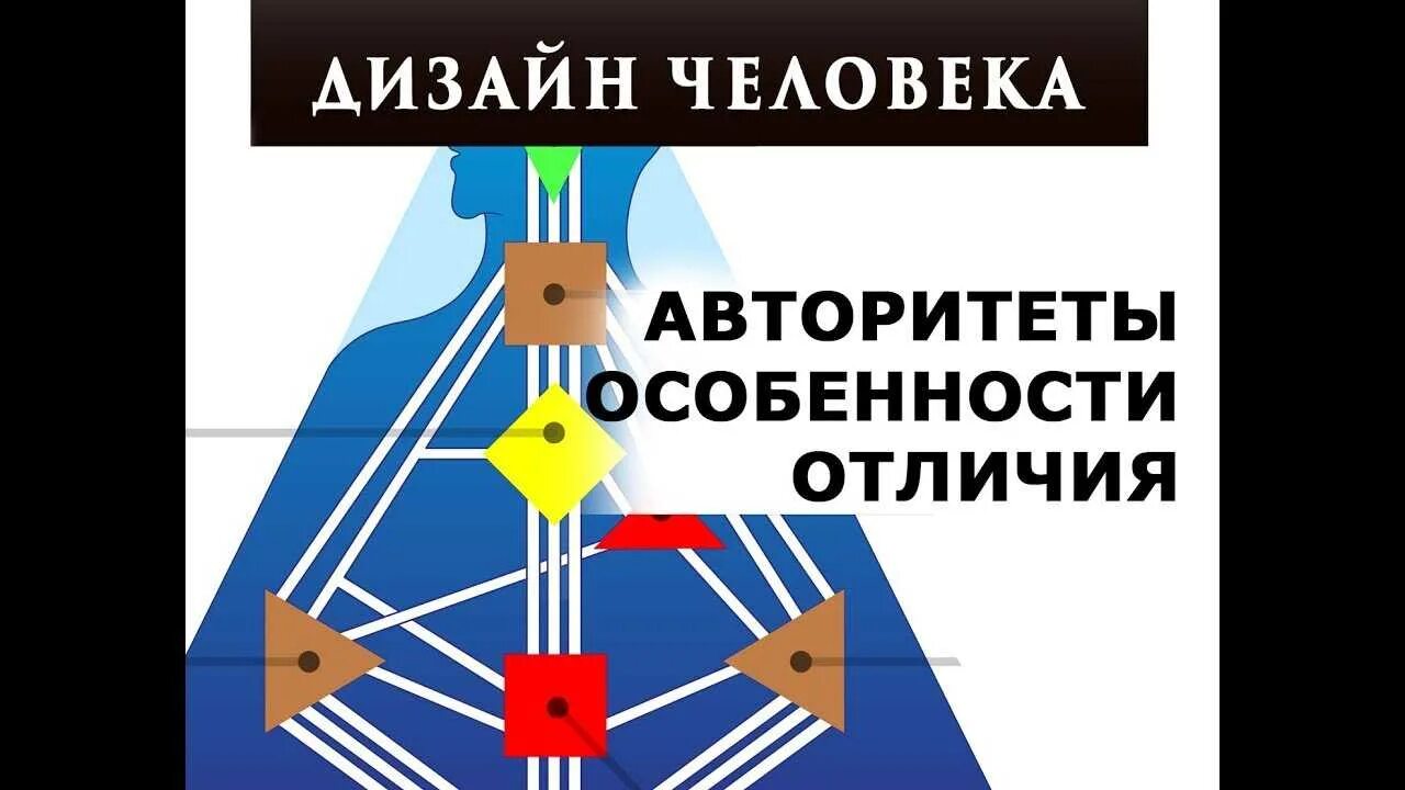 Центры в дизайне человека. Иерархия авторитетов в дизайне человека. Иерархия центров дизайн человека. Авторитеты в дизайне человека