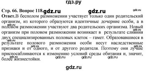 Биология 6 класс стр 66