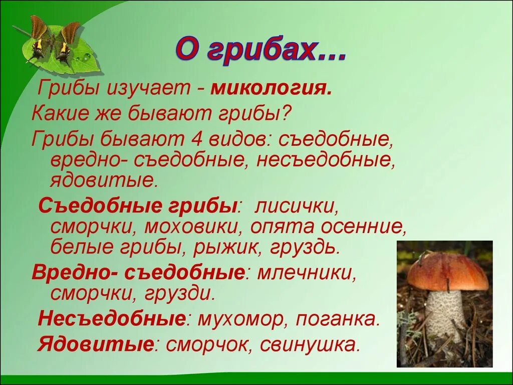 Доклад про грибы. Грибы презентация. Сообщение на тему грибы. Проект царство грибов. Есть царство грибов