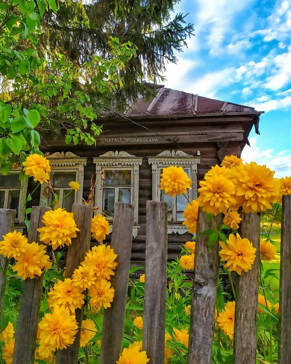 Село августа