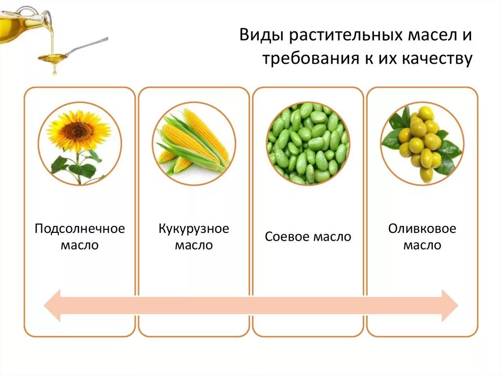 Схема классификации растительных масел. Виды растительных масел. Основные виды растительного масла. Виды подсолнечного масла. Масла относятся к классу