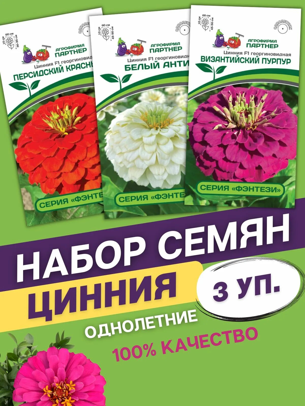 Фирма партнер семена цинии. Цинния георгиновидная "сочные тропики" f1 дайкири. Фирма партнер семена цинии. Циния агрофирма партнер. Цинии георгиновидные.