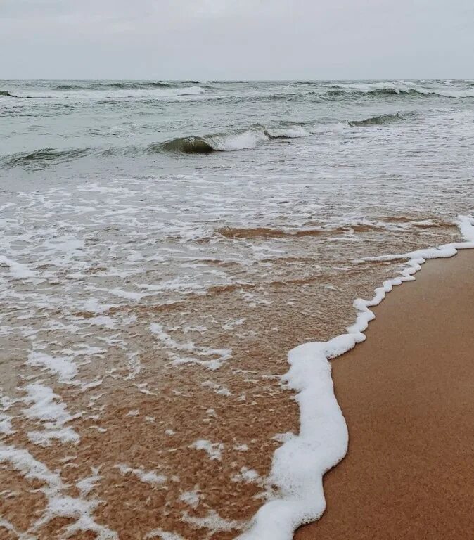 Вижу берег с полоской ила. Вижу тень наискосок рыжий. Песок по которому ты ходила. Вижу тень наискосок рыжий берег с полоской ила. Вижу берег с полоской ила.