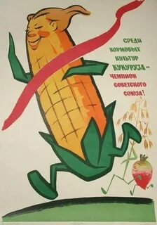 Кукурузная кампания
