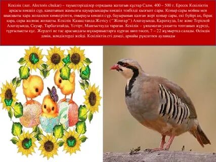 Орыс порносы: бірде екі мас