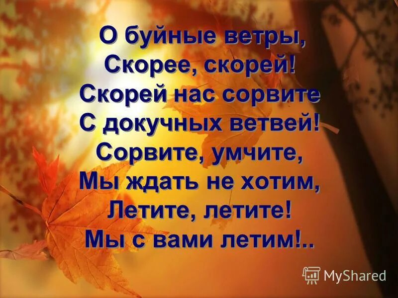 Мы то всего вернее губим что сердцу нашему милей. Буйные ветры/скорее скорей скорее сорвите с докучных ветвей. О буйные ветры скорее скорей. Фёдор иванович тютчев стих листья. Рисунок к стихотворению тютчева листья.