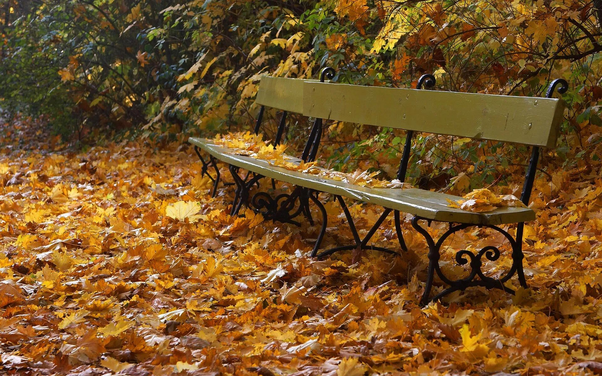 Осень листья давно облетели. Скамейка в парке. Осенние листья на лавочке. Листья на скамейке. На скамье осенний листок.