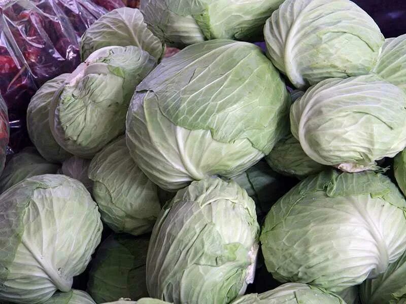 Капуста засолочная сорта. Какая капуста хорошая для засолки. Сорта белокочанной капусты для засолки и квашения. Капуста для засолки лучшие сорта. Капуста для засолки сорта.