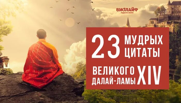 Мудра 23. Мудрые цитаты Далай ламы. Далай лама 14 цитаты. Далай-лама 14 цитаты лучшие. Высказывания Далай ламы 13.