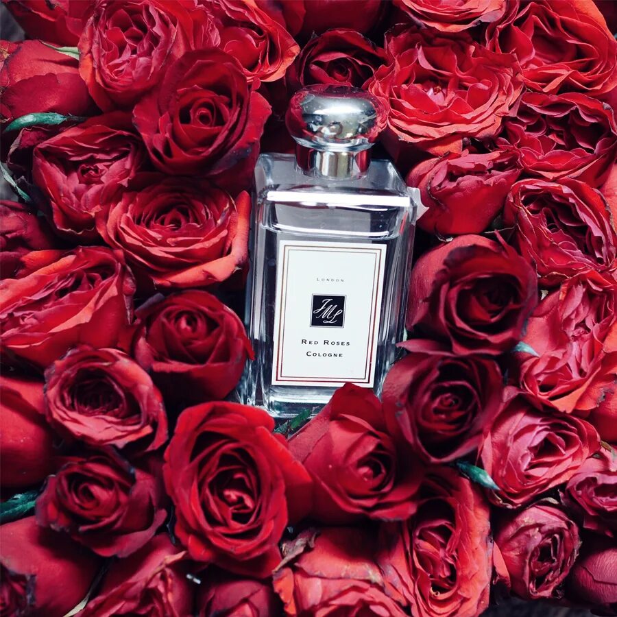 Мужские цветочные ароматы. Creed sublime vanille 75 ml. Creed cedre blanc edp 100ml. Джо малон духи женские. Jo malone iris white musk tester demonstration 65ml.