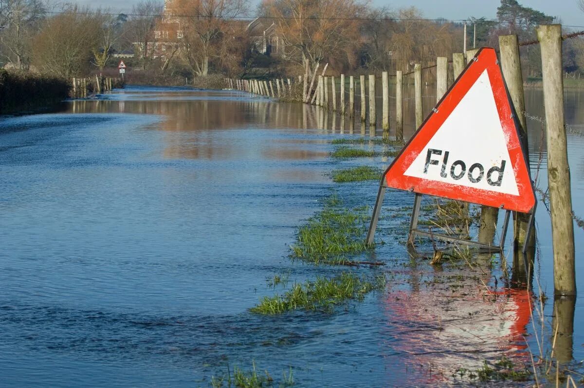 Flood field. Наводнение. flood.