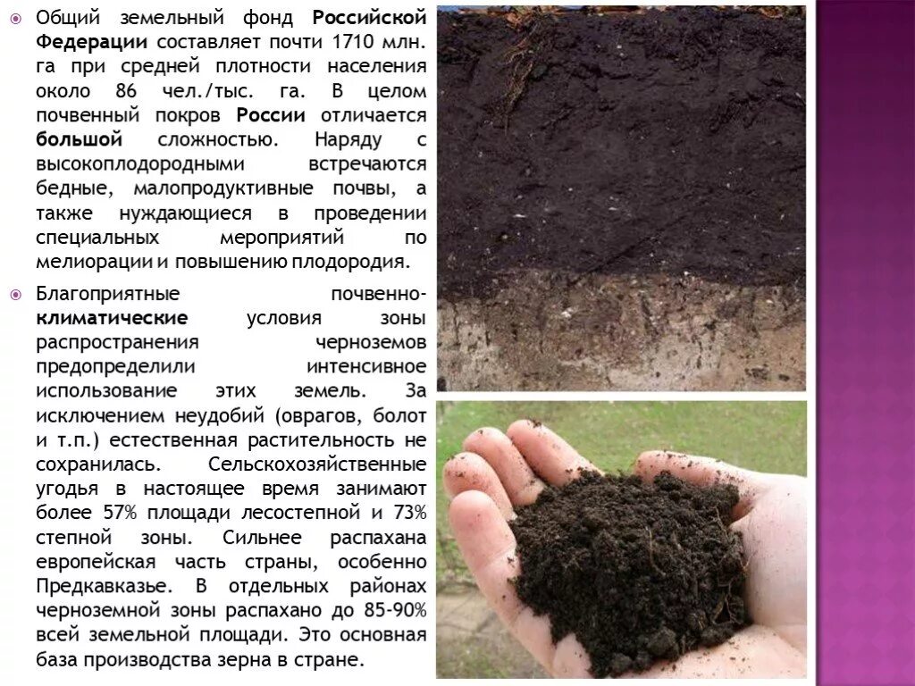 Лессивирование. Почвы и почвенные ресурсы. Антропогенная эрозия почв. Земельные ресурсы и почвенный покров. Земельные угодья.