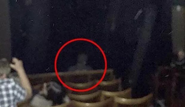 фото домового реальное. домовой существует или нет. существуют ли домовые в реальной жизни. домовой в реальной жизни. домовой существует или нет.