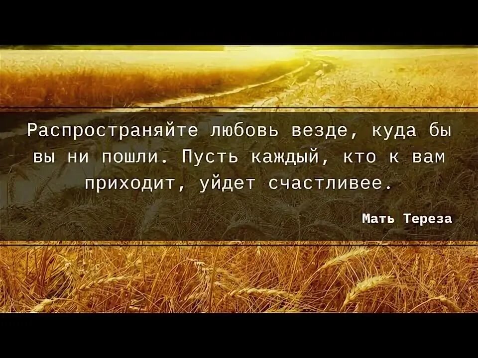 Семь мудростей. Семь мудростей