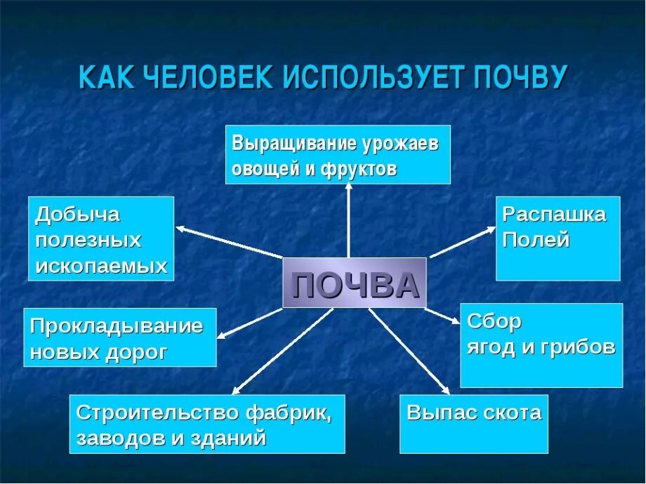 К каким природным ресурсам относятся почвы. Использование почвы человеком. Как человек использует почву. Как используются почвы. Значение почвы для человека.