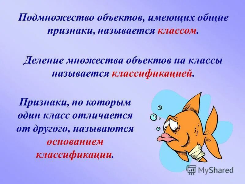 Подмножества имеющие общие признаки называется. Подмножества имеющие общие признаки называется. Классификация в математике. Подмножества имеющие общие признаки называется. Подмножество объектов имеющих общие признаки называется.