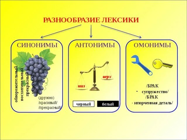 Определить синонимы и антонимы. Синонимы Антонины Аноним. Синонимы антонимы омонимы. Таблица синонимы антонимы омонимы. Синоним антонимы омонеим.