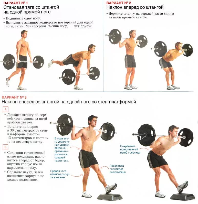 Становая тяга со штангой для спины техника. Наклоны со штангой стоя. Наклоны вперед со штангой. Рывок штанги на грудь.
