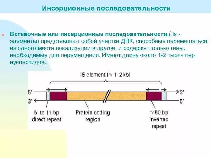Схема is элемента