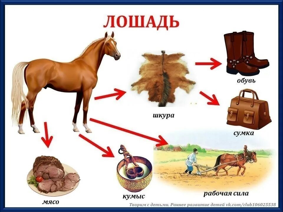 Польза домашних животных. Польза домашних животных для детей. Польза домашних животных для человека. Чем полезны домашние животные. Почему именно конь